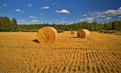 Sommerferien 2026